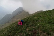 Monte Valgussera, Pizzo Vescovo, Monte Brate, tre cime ad anello da Foppolo il 28 maggio 2016 - FOTOGALLERY